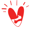 BBIWi